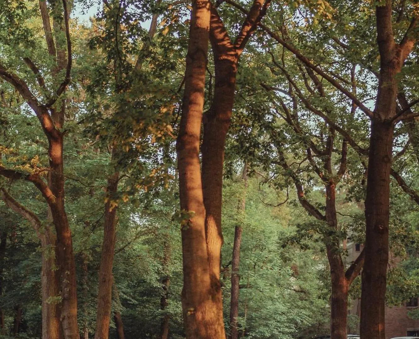 Forest Hotel Krakow